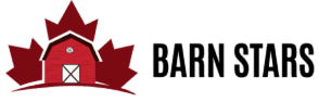 Barnstars logo