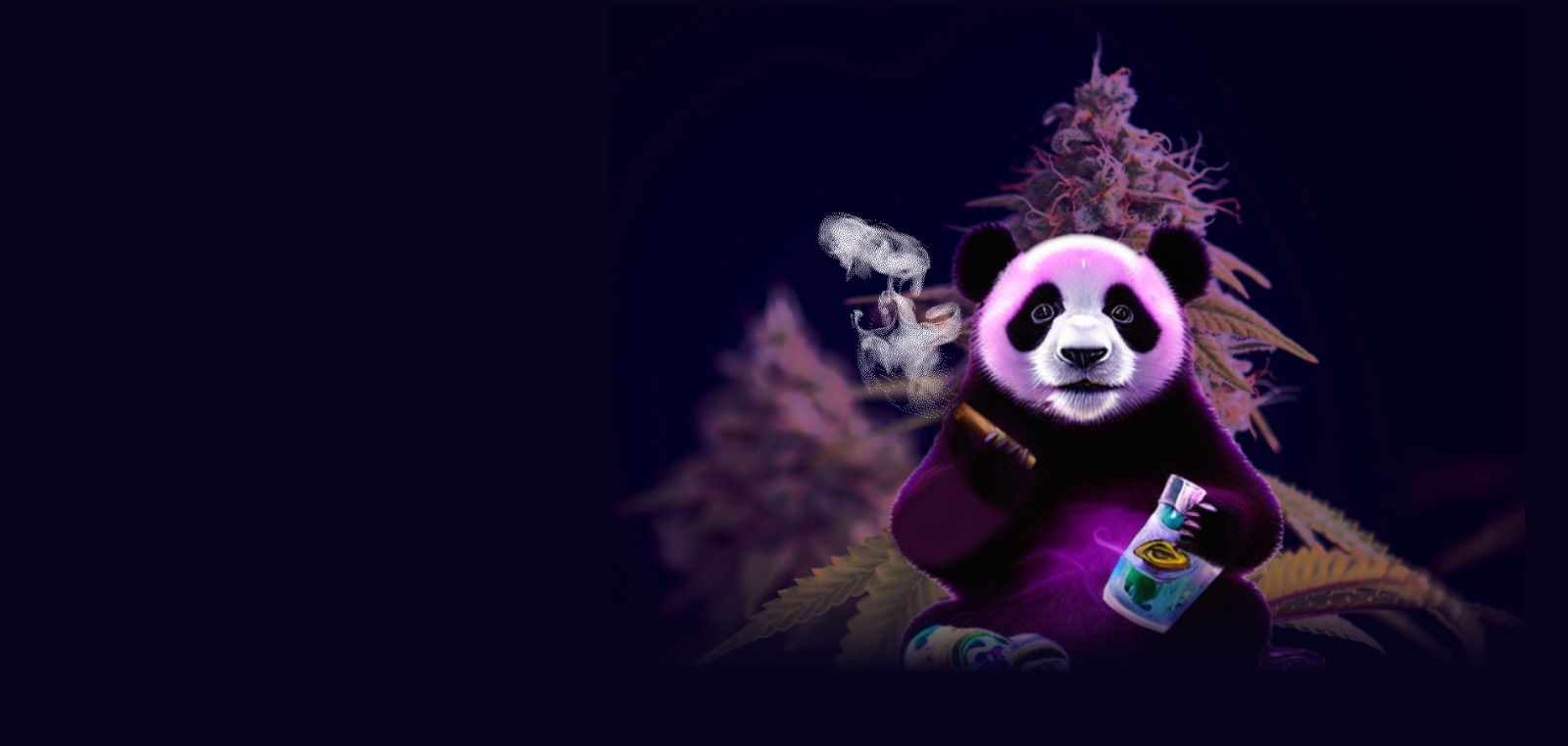 Case Study Banner